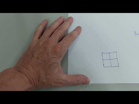 Video: Punnet kvadratidagi f1 avlodi nima?