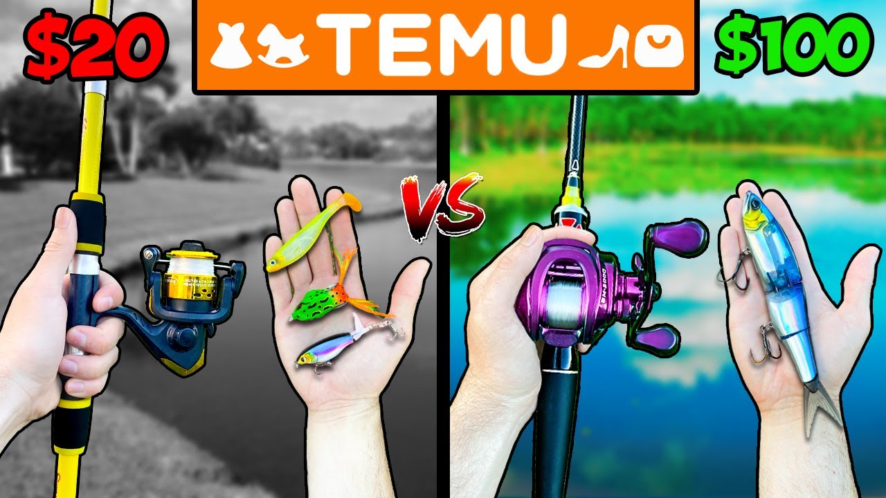 $20 vs $100 Temu Budget Fishing Challenge 