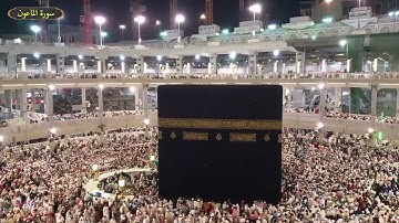 سورة الماعون ياسر سلامة