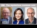 Why haven’t we cured the common cold?  | Chasing Life