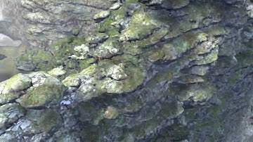 Voxel Terrain Test 2