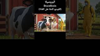 #البروسيلا #الحمى_المالطية #Brucellosis     #العدوى#تحصين #حمايه #اكسبلور #ترند #تحفيز #ai #كرتون