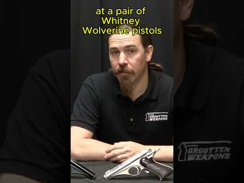 Whitney Wolverine: Atomic Age Design in a .22 Rimfire
