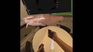Deepscope Update Version 2.2