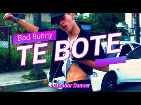 [in-public]-bad-bunny-"te-bote-remix"/dance-video.oficial--@labradordancer