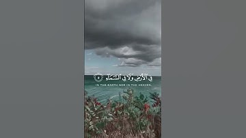 #راحة_نفسية #القرآن_الكريم #السعودية (#الاردن #الكويت #مصر#الجزائر #تلاوات