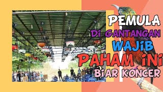 PENYEBAB KONIN TELAT BUNYI BONGKAR DI GANTANGAN