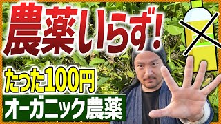 【100円で除草‼】除草剤を使わず雑草は簡単に枯らせる！