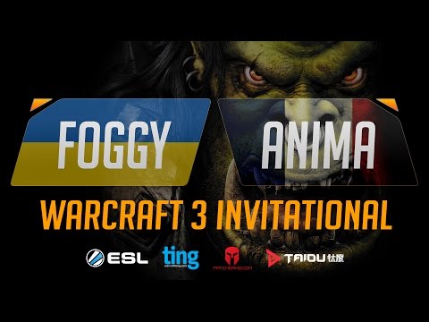 WC3 - Foggy vs. Anima - Ting Warcraft Invitational - Group A - Lower Bracket Final