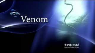 NOVA: Venom, Nature's Killer