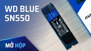 WD Blue SN550 - SSD M.2 PCIe quá nhanh, quá ổn trong tầm giá!