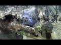 Modular Ambient Live – SINKICHI at “Seiryu Ongakusai” – Kawatana No Mori Cortot Hall (Nov 23, 2025)