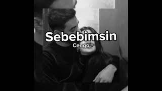 Sebebimsin-Cengo Resimi