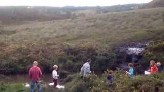 Commando challenge 2013 sheep dip
