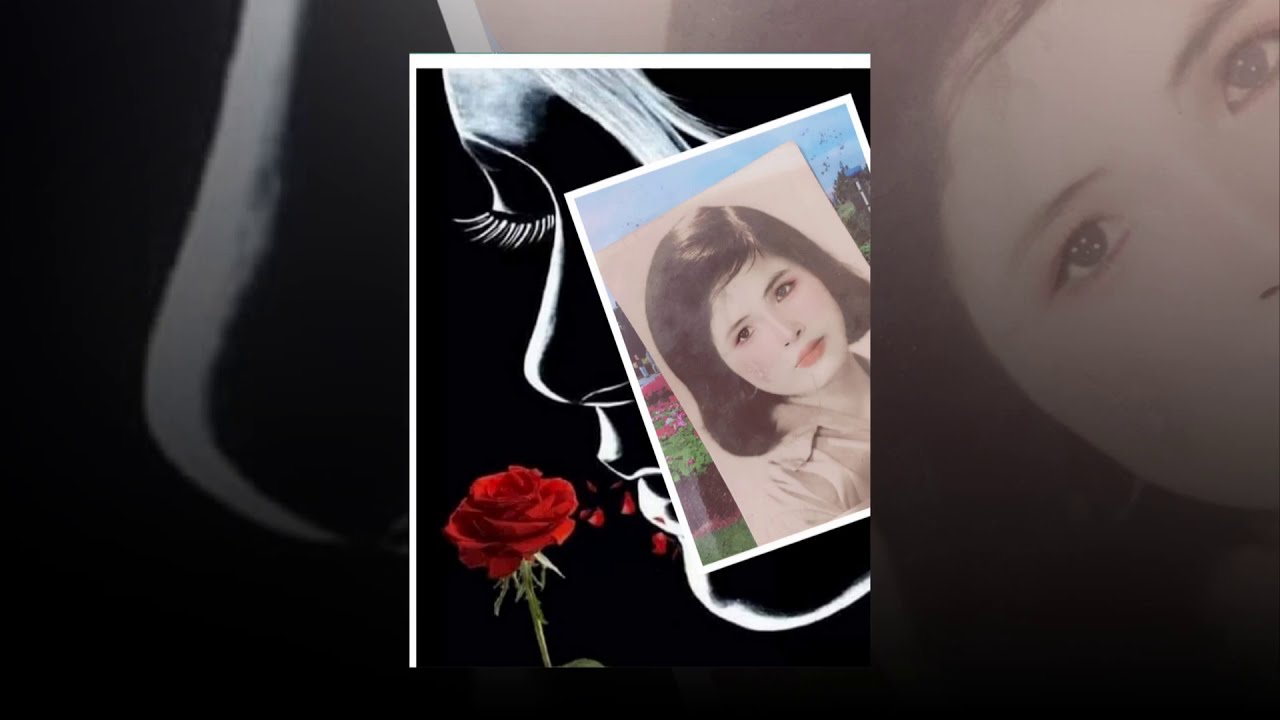 Đường Xưa Lối Cũ - Lệ Hoa | ST. Hoàng Thi Thơ