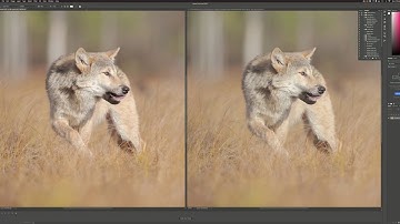 Soft Proofing in Adobe Photoshop 2020