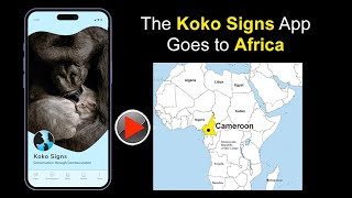 The Koko Signs App Goes to Africa by kokoflix 368 views 4 days ago 2 minutes, 34 seconds