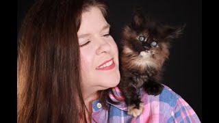 Message from Cat Breeder Sensei Founder: We're Here to Help Breeders of all Levels' by Cat Breeder Sensei - Breeding Cats Successfully 77 views 1 year ago 2 minutes, 48 seconds