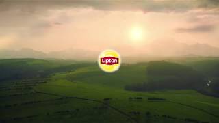 Lipton Tea, Picked at the Peak of Freshness