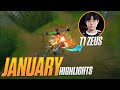 January highlights  dzukill