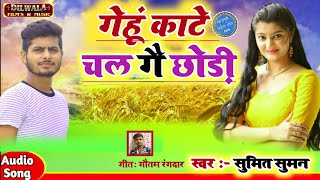 स्वर: सुमित सुमन यादव - गेहूं काटे चल गै छोड़ी - Gahu kate chal ge chhori@ मैथिली गीत