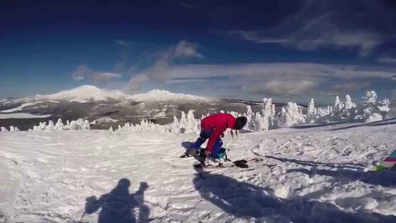 Vertfest 2014  Episode II - "Walk On The Wild Side"