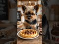 Mano’s Waffle Masterpiece  #ai #aidog #aivideo #yorkie #yorkshire #funny #cutedog #heart