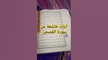 آيات بينات من سورة القصص #القرآن_الكريم #سورة_القصص #آيات #صوتي #ترتيل #تجويد