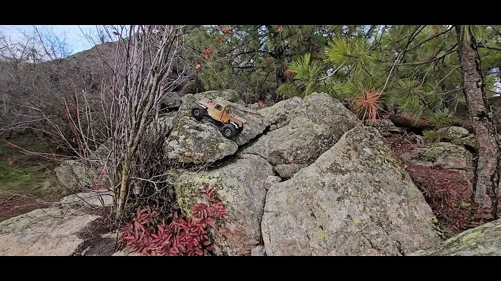 RES CONCEPTS VANQUISH VFD,F10 AXLE FUN