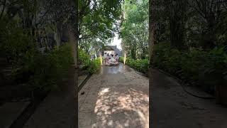 Las Margaritas