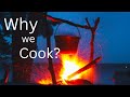 Why do Humans Cook?