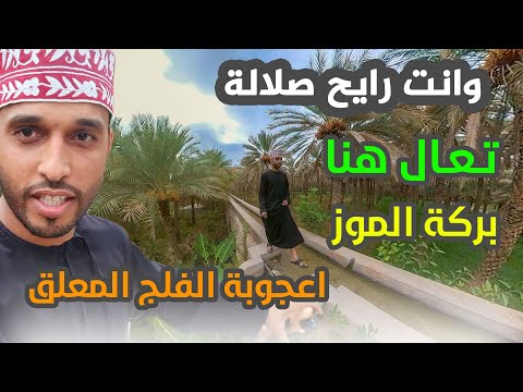 بركة الموز سلطنة عمان خريف صلالة 2023 السياحة في عمان نزوى ساقية الجزيرة الفلج المعلق