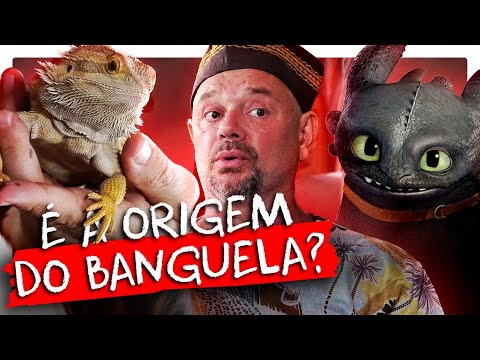 Vídeo: Os dragões barbudos são afetuosos?