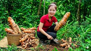 Harvesting 1000+KG of Organic Turmeric – Healthy Rural Living