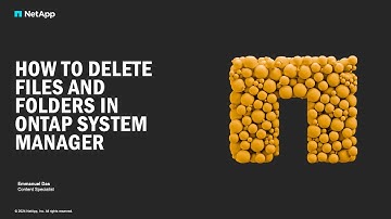 How to delete files or folders in ONTAP System Manager