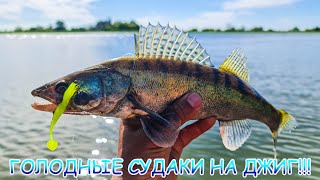 Джиг на реке! Голодные судаки жрут приманки! Рыбалка в суровых местах.