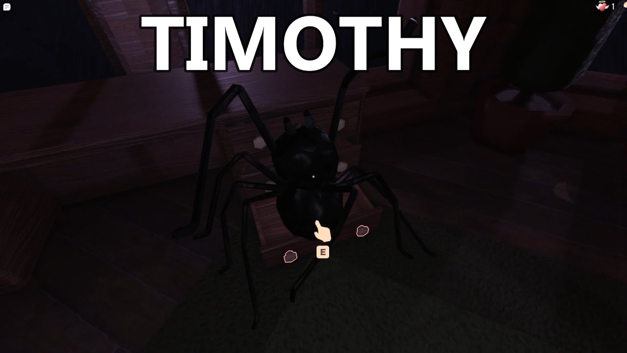 I Met Timothy (Roblox Doors) YouTube