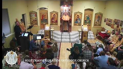Homily for the 3rd Sunday of Luke 10/19/2025