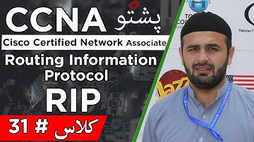 Routing Information Protocol | RIP Using & Metric | CCNA Enterprise Pashto Tutorial #31