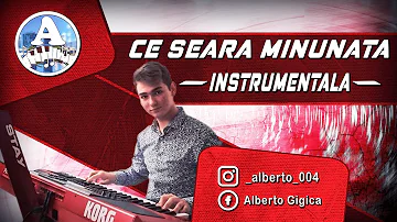 CE SEARA MINUNATA instrumentala la orga