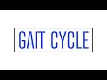 How I Get My PTA Students To Understand the Gait Cycle