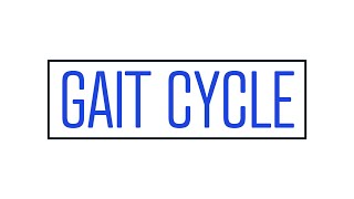 How I Get My PTA Students To Understand the Gait Cycle