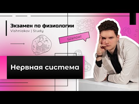 Экзамен по физиологии | НЕРВНАЯ СИСТЕМА