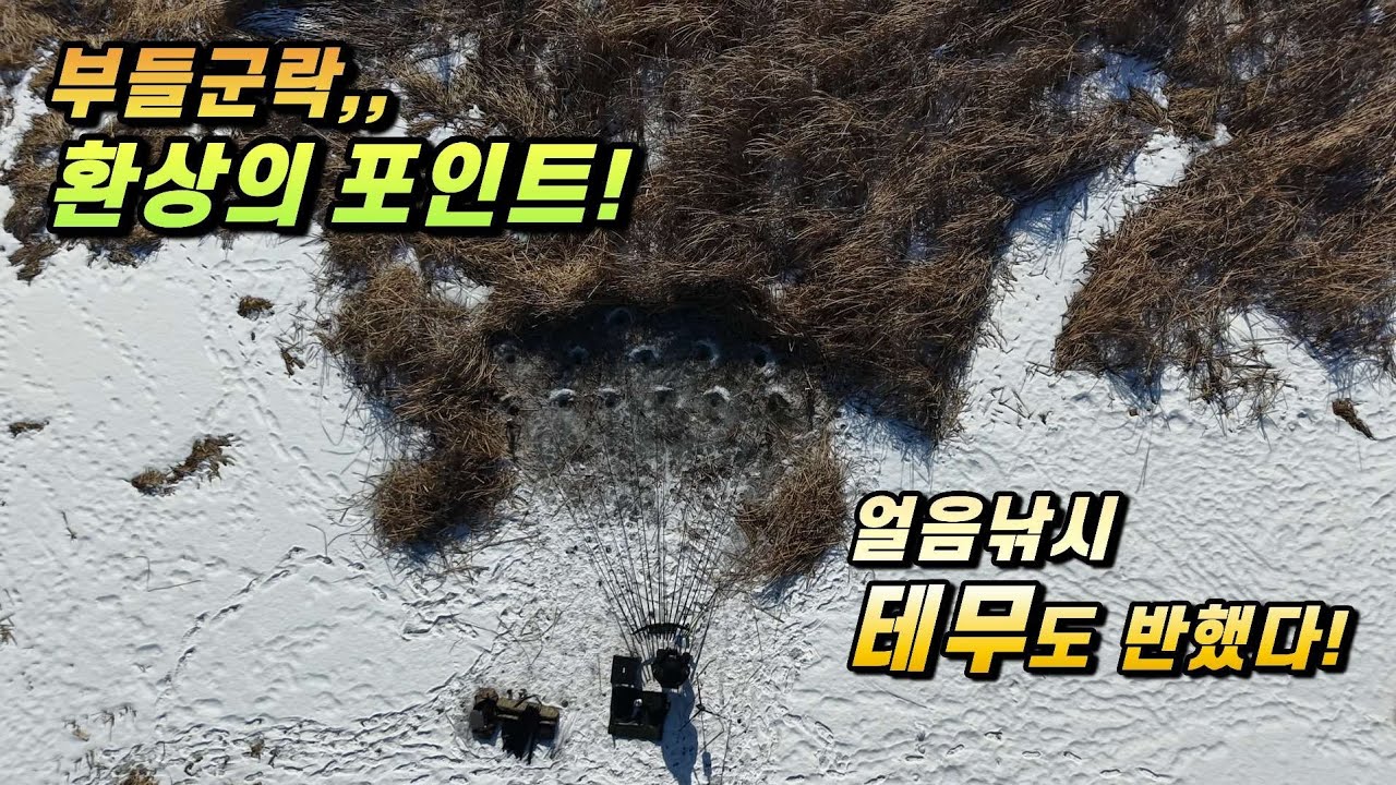 [용품리뷰]충청권 2월의 얼음낚시! 테무도 반한 부들밭 포인트!#붕어낚시#얼음낚시#테무깡#눈스터