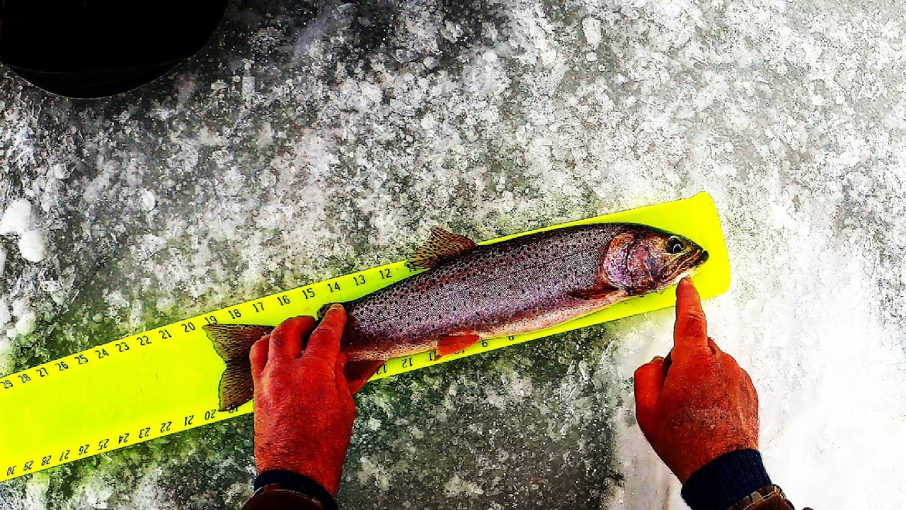 Ice Fishing All Day Huge Trout Tipup Minnows and Jigging PK Spoons