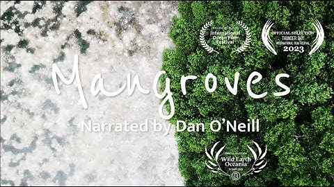 Mangrove Forests: Roots of the Sea