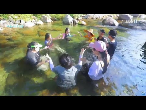 한국기행 - Korea travel_여름에는 무작정 3부- 목청 높여 여름_#002