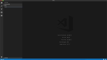 Launch a development local Server with live reload feature for static & dynamic pages | VS Code