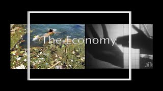 My Mis-Education in 3 Graphics