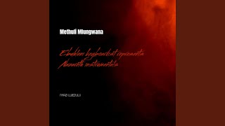 Download lagu Ngiyahamba Ngikhathele